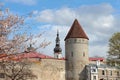 View of walls protecting Tallinn`s old town and St. Olaf Church. tallinn defence wall at the spring postcard Royalty Free Stock Photo