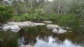 View of the Walpole River Western Australia in autumn. Royalty Free Stock Photo