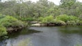 View of the Walpole River Western Australia in autumn.