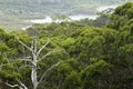 View of the Walpole River Western Australia in autumn. Royalty Free Stock Photo