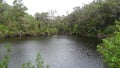 View of the Walpole River Western Australia in autumn.