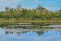 The view of Walsingham Lake at Walsingham Park Royalty Free Stock Photo