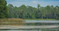 The view of Walsingham Lake at Walsingham Park Royalty Free Stock Photo