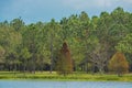 The view of Walsingham Lake at Walsingham Park Royalty Free Stock Photo