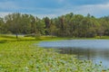 The view of Walsingham Lake at Walsingham Park Royalty Free Stock Photo