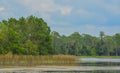 The view of Walsingham Lake at Walsingham Park Royalty Free Stock Photo