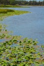 The view of Walsingham Lake at Walsingham Park Royalty Free Stock Photo