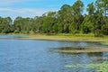 The view of Walsingham Lake at Walsingham Park Royalty Free Stock Photo