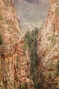 View of Walter\'s Wiggles and valley floor in Zion National Park