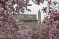 Washington Monument and spring blossom from The Moongate Garden, Washington DC