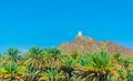 View of a watch tower in the nizwa region perched on a hill and surrounded by a lush oasis full of palms, oman Royalty Free Stock Photo