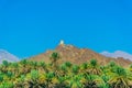 View of a watch tower in the nizwa region perched on a hill and surrounded by a lush oasis full of palms, oman....IMAGE Royalty Free Stock Photo