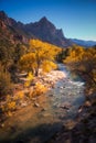 View of the Watchman mountain and the virgin river in Zion National Park Royalty Free Stock Photo