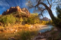 View of the Watchman mountain and the virgin river in Zion National Park located in the Southwestern United States. Royalty Free Stock Photo