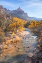 View of the Watchman mountain and the virgin river in Zion National Park Royalty Free Stock Photo