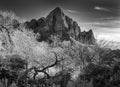 View of The Watchman, Zion National Park, infrared Royalty Free Stock Photo