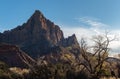 View of The Watchman, Zion National Park Royalty Free Stock Photo