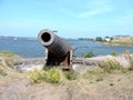 View of water of Baltic sea, coast with grass, old cannon, summer Helsinki