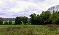 View of water-meadow alongside the River Thames in Runnymede, Surrey, UK Royalty Free Stock Photo