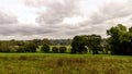 View of water-meadow alongside the River Thames in Runnymede, Surrey, UK Royalty Free Stock Photo