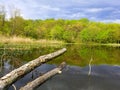 The view of the water and trees near Folley Pond by Banning Park, Wilmington, Delaware, U.S.A Royalty Free Stock Photo