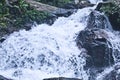 view of a waterfall in a dense forest Royalty Free Stock Photo