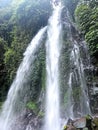 view of the waterfall at forest naturally tree Royalty Free Stock Photo