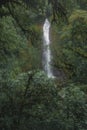 View of a waterfall in the middle of the cloud forest Royalty Free Stock Photo