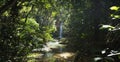 View on waterfall near Salto LimÃÂ³n in SamanÃÂ¡ in the Dominican Repub