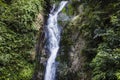 View of waterfall surrounded by jungle