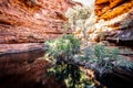 View of the waterhole in the garden of eden in Kings Canyon in outback Australia Royalty Free Stock Photo