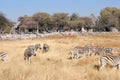 View at the waterhole at the Okaukeujo Rest Camp, Etosha National Park, Namibia