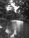 View at the waving water in the lake