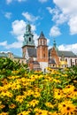 Wawel cathedral on the Wawel Hill in Krakow, Poland Royalty Free Stock Photo