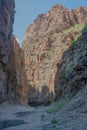 Big Bend National Park cliff face
