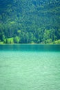 View of the Weissensee lake in Carinthia and green trees Royalty Free Stock Photo