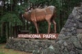 View of welcome sign Strathcona Park with forest in the background
