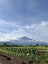 view of Welirang mountain in Pacet, East Java Royalty Free Stock Photo
