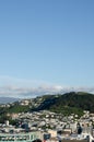View of wellington city buildings from botanic gardens
