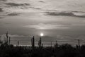 View West From Tucson, AZ, USA