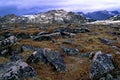 View from West Summit Beartooth Pass  62452 Royalty Free Stock Photo