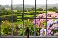 View at the wet morning garden from inside through the large window. Royalty Free Stock Photo