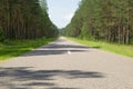 View of the wet road along the pine forest Royalty Free Stock Photo