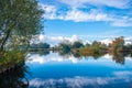 Beautiful reflections in the water of a wetland in The Netherlands