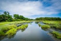 View of a wetland from Uncle Tim's Bridge, in Wellfleet, Cape Co Royalty Free Stock Photo