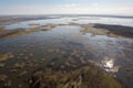 view of wetlands and marshes from above, with flock of birds in flight