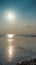 View wetlands before sunset