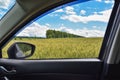 View of the wheat field in the car window Royalty Free Stock Photo