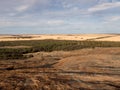 View of the Wheatbelt, near Hyden, Western Australia Royalty Free Stock Photo