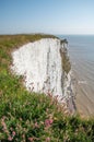 Chalk Cliffs at St Margaret's Bay Kent England. Royalty Free Stock Photo